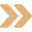 double arrow icon