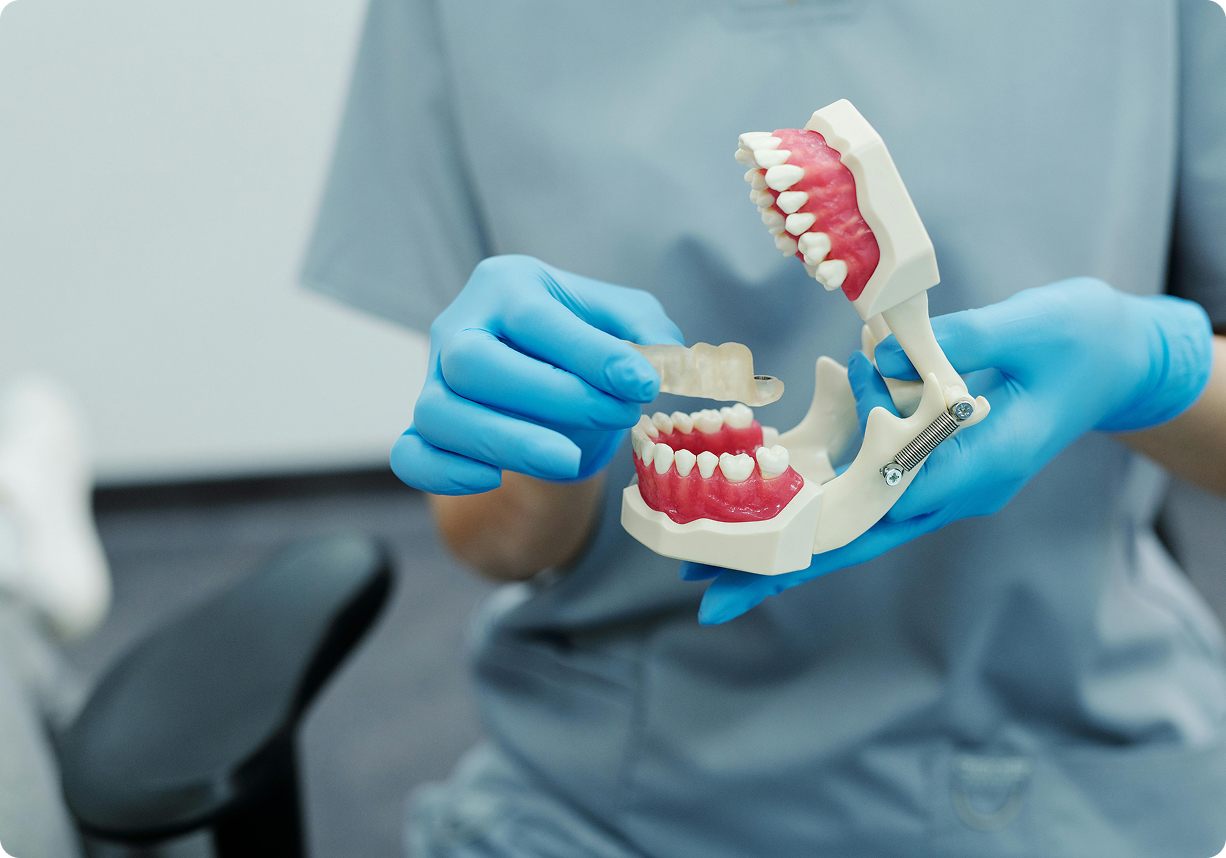 A person in blue surgical gloves holding a transparent dental aligner next to a realistic anatomical model of human teeth and gums.